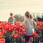Pierwsze oznaki wiosny, których możemy wypatrywać z dziećmi na spacerach
