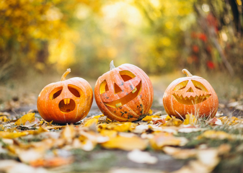 Halloween zakazane w szkole podstawowej. Powodem interwencja rodzica