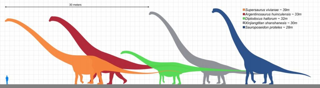 Najdłuższe dinozaury