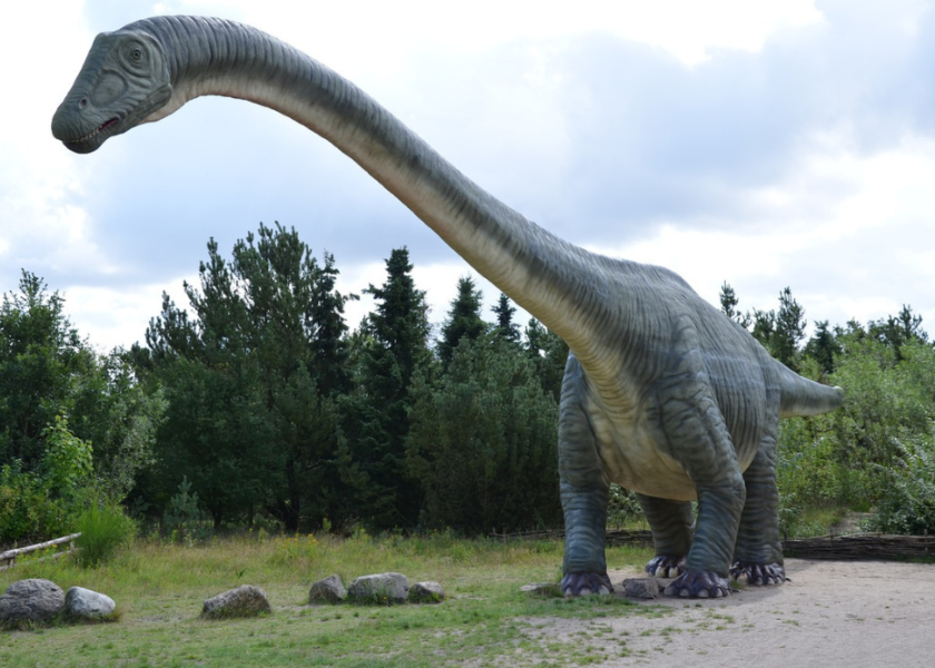 Twoje dziecko to ekspert od dinozaurów? Tymi ciekawostkami je zaskoczysz!