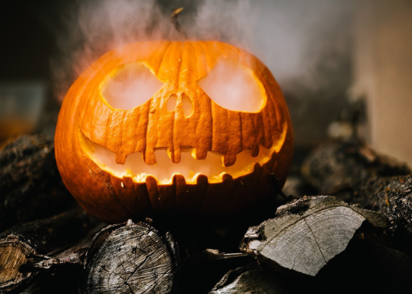 Halloween 2022 – stroje i gadżety z sieciówek dla dzieci