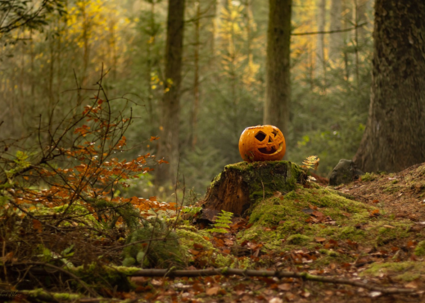 Halloween – data, skąd się wzięło, znaczenie