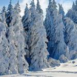 Terminy ferii zimowych 2024 – województwa, daty