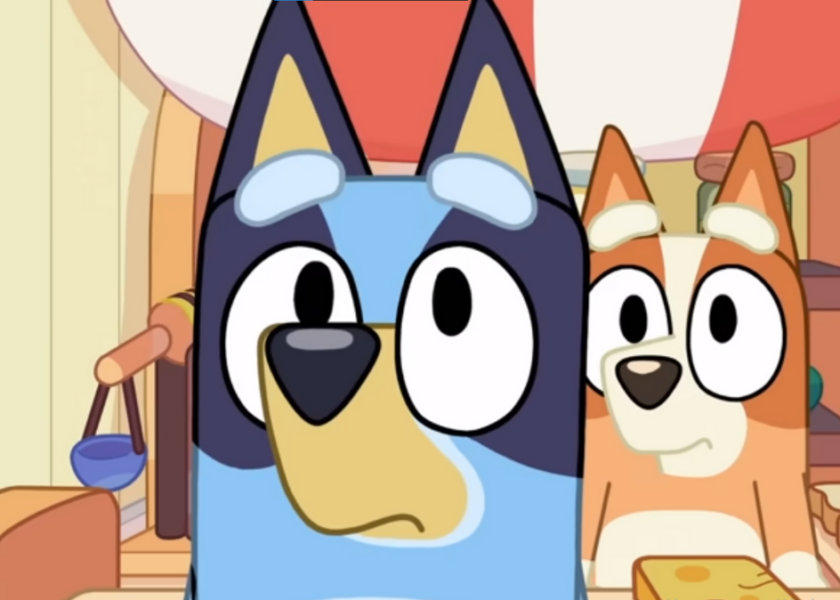 Ciekawostki o Bluey. Znaliście je wszystkie?