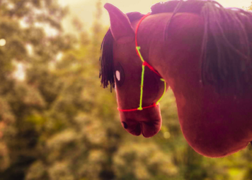 Hobby Horse – jazda konna bez konia. Trend, który zdobywa serca dzieci