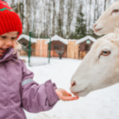 Ferie 2026 – pomysły na aktywności z dziećmi