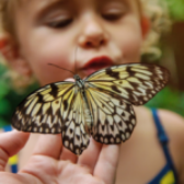 Wiosna — ciekawostki dla dzieci